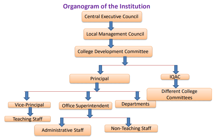 Institute Organogram